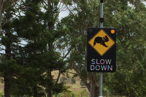 electronic road signs - solar powered speed signs australia